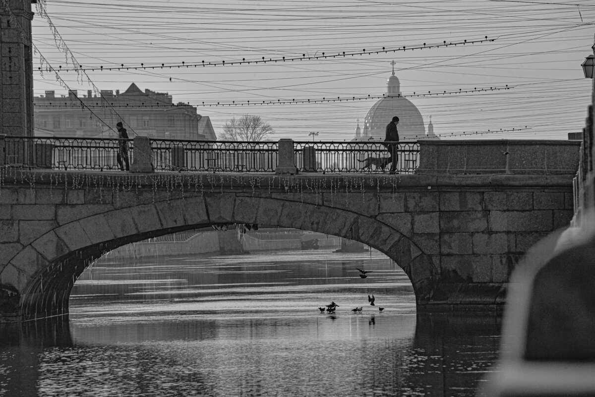 Обычный серый Питерский день - Алексей Чуркин