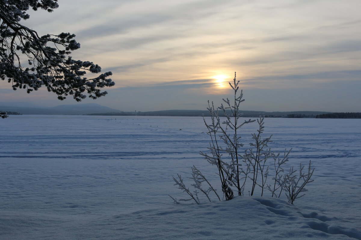 Пинозеро - Ольга Пинозеро - Ольга