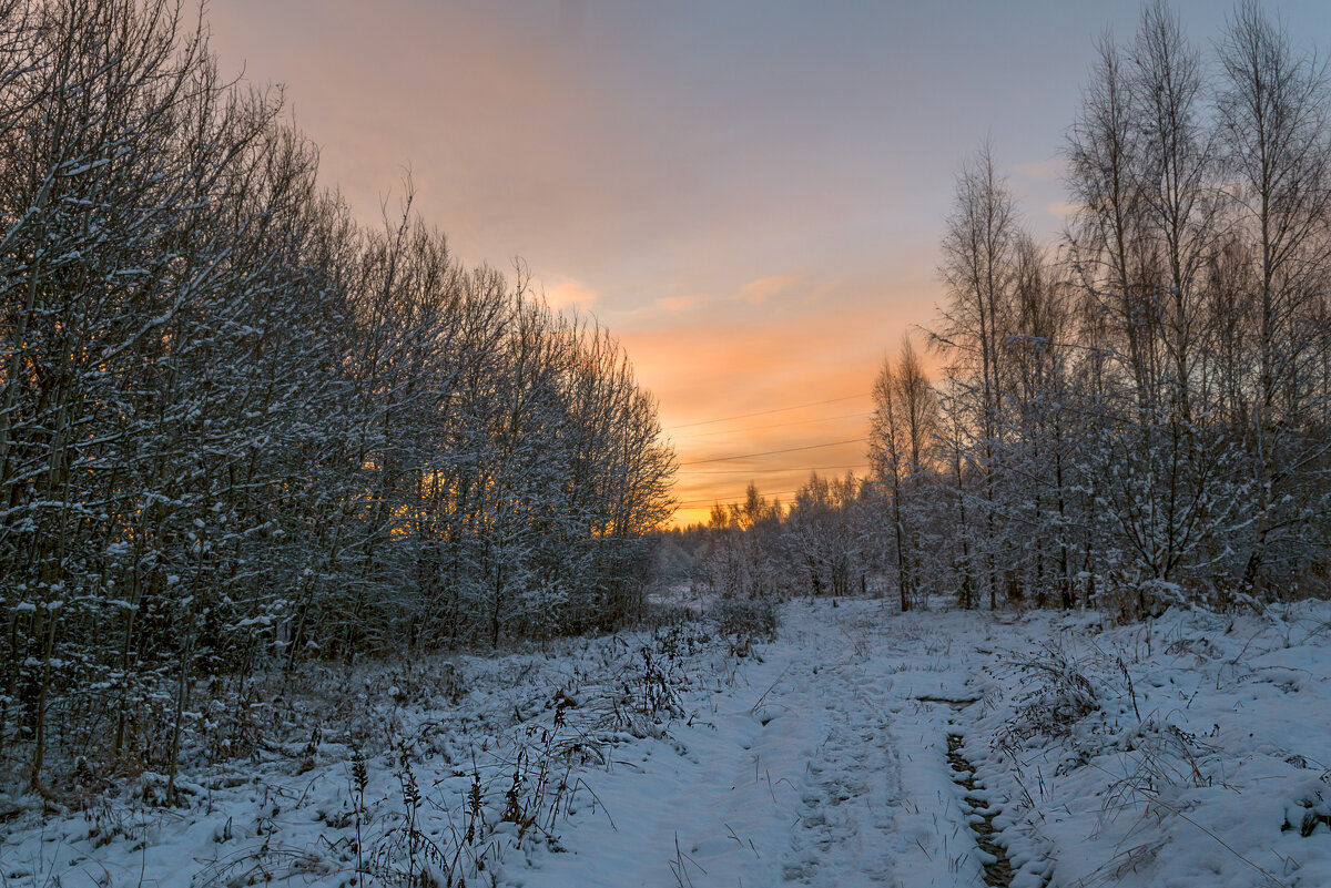 Ранним утром - Сергей Цветков
