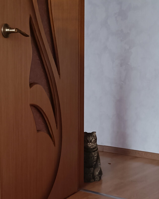 Кошачий следак ;-) - Sergei Vikulov Кошачий следак ;-) - Sergei Vikulov