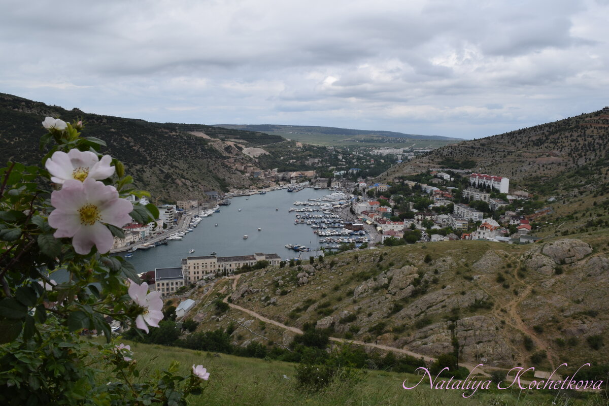 Природа Крыма - Amazing Cosmea