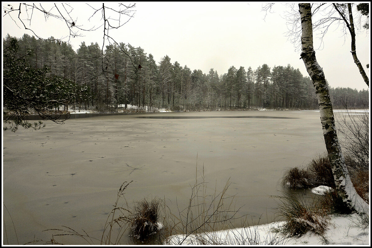 Зима вернулась на часок.... - Aleksandr Gal Зима вернулась на часок.... - Aleksandr Gal