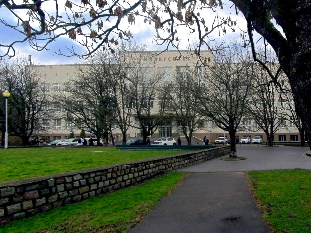 БФУ на Университетской - Сергей Карачин