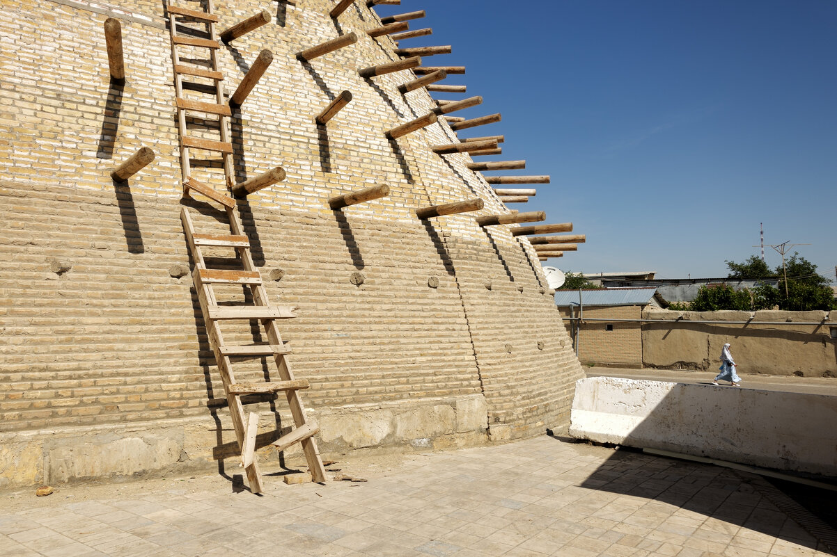 * - Светлана Воробьева