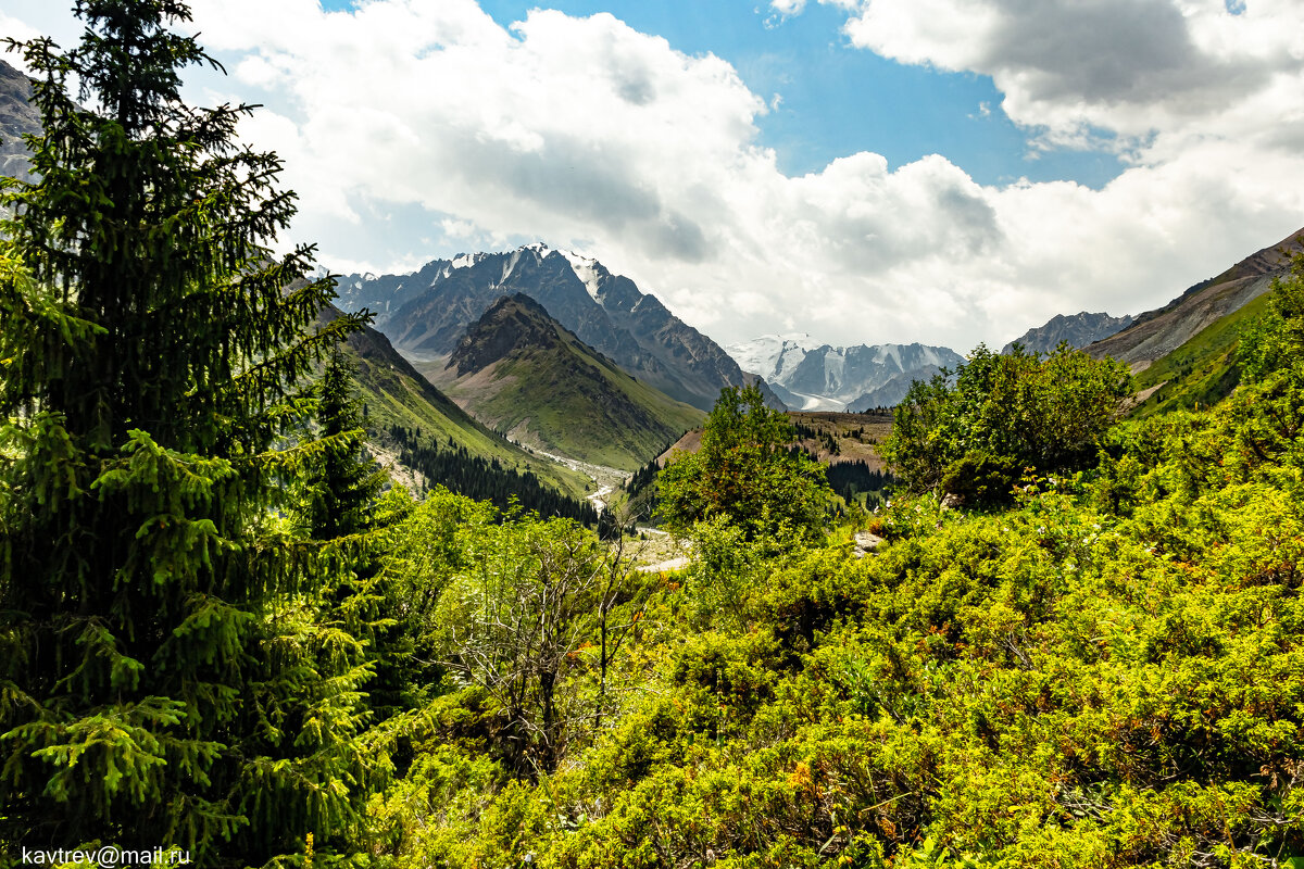 СНОВА БАК - HART BAD СНОВА БАК - HART BAD