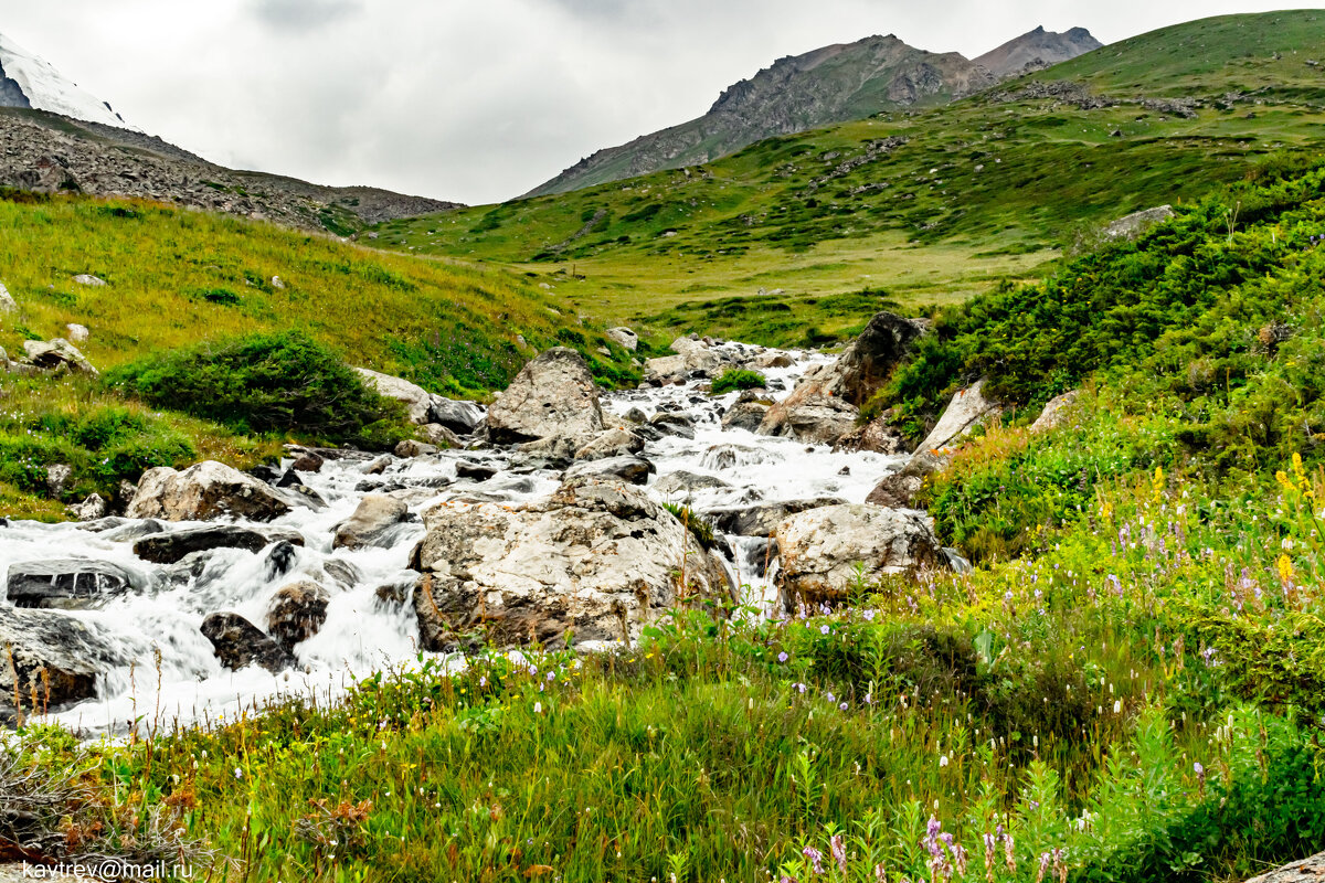 СНОВА БАК - HART BAD