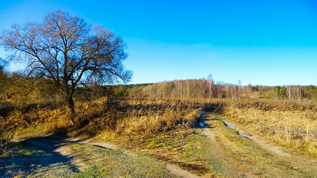 Две дороги рыбаков (берег Днепра). - Милешкин Владимир Алексеевич Две дороги рыбаков (берег Днепра). - Милешкин Владимир Алексеевич