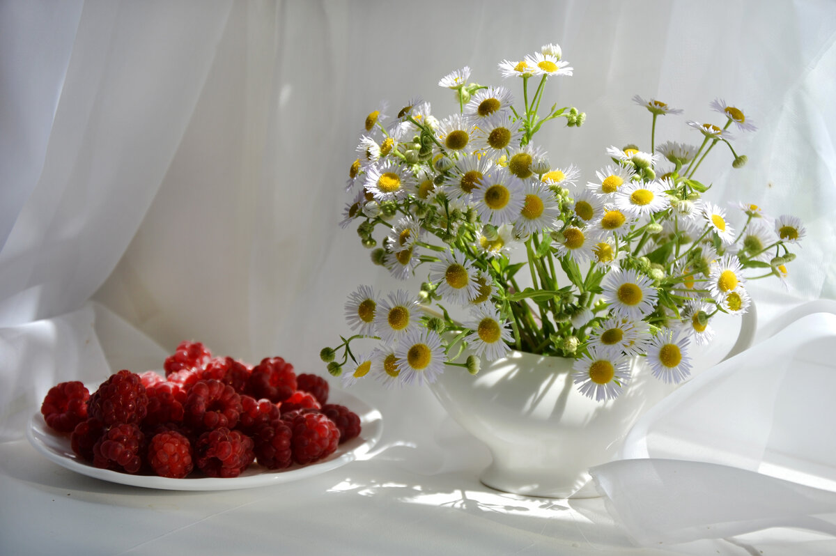 Летнее лакомство.... - Надежда Куркина Летнее лакомство.... - Надежда Куркина