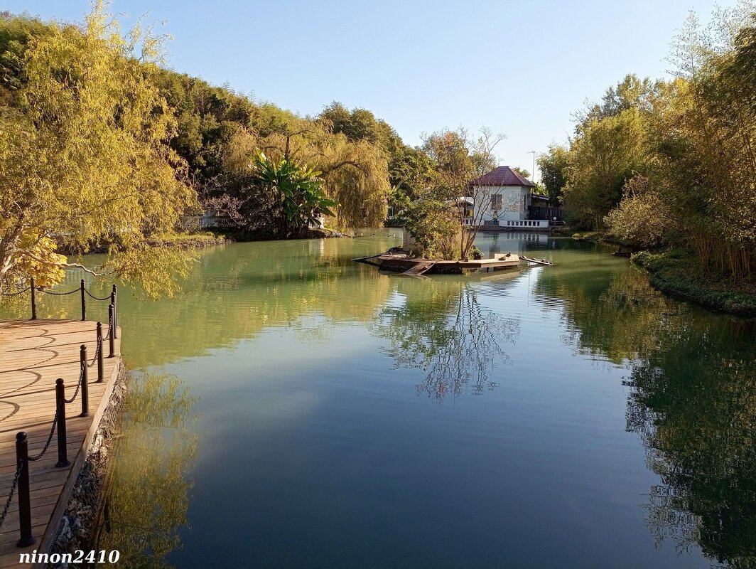 Адлер. Дендропарк "Южные культуры" - Нина Бутко Адлер. Дендропарк "Южные культуры" - Нина Бутко