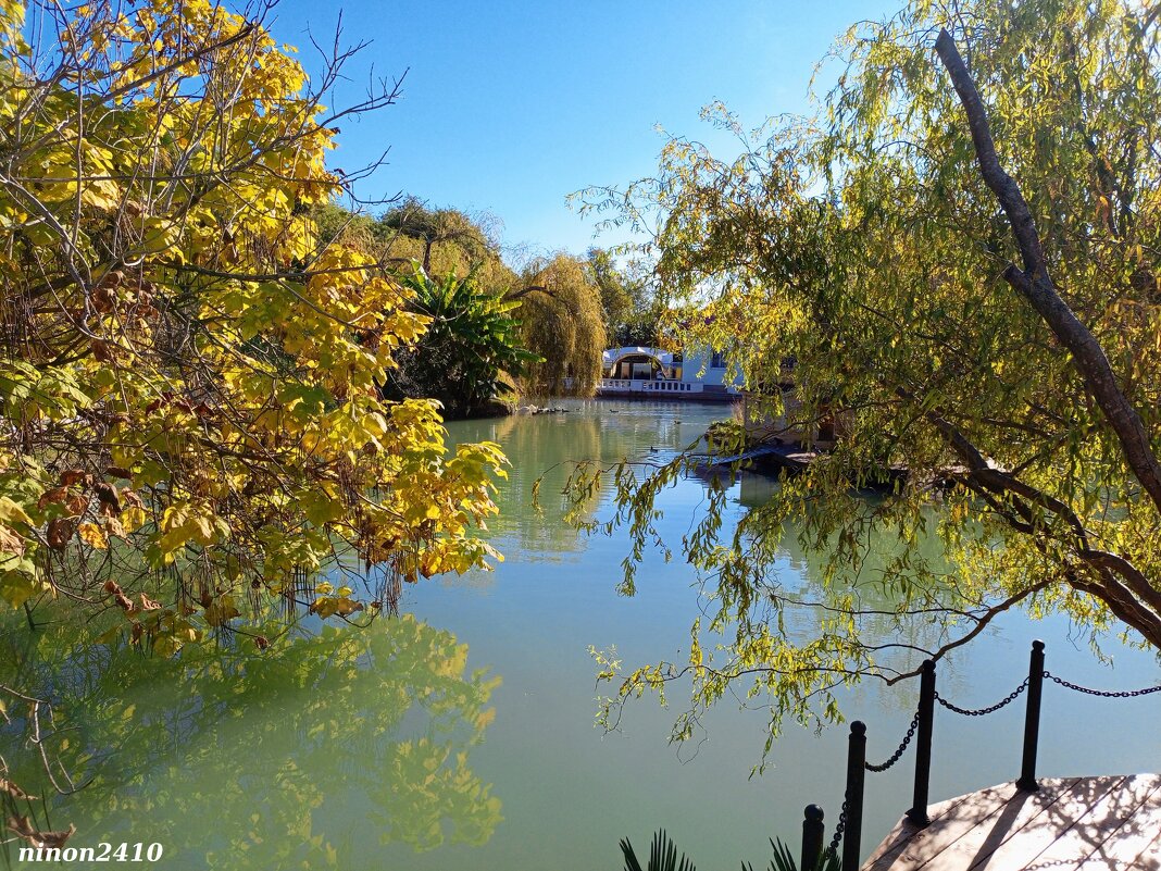 Адлер. Дендропарк "Южные культуры" - Нина Бутко Адлер. Дендропарк "Южные культуры" - Нина Бутко