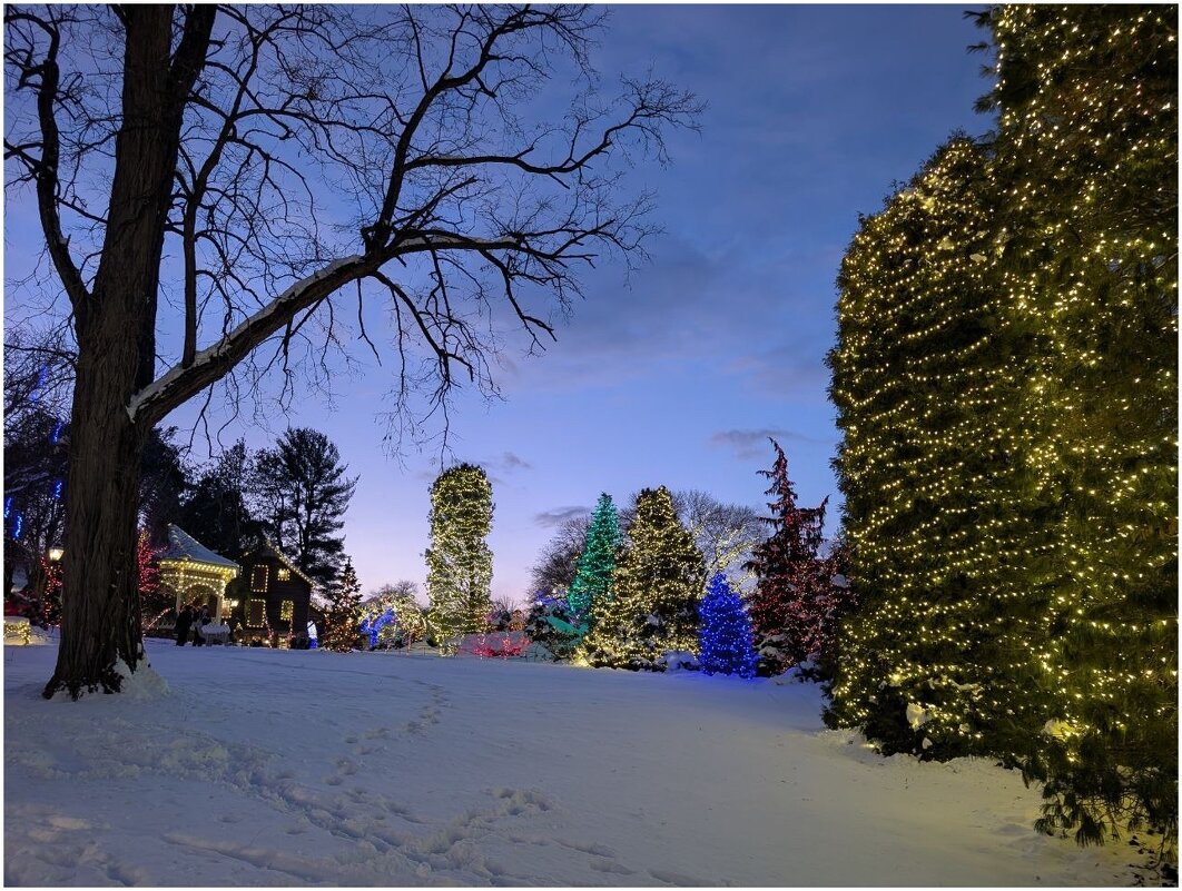 Заграничье - Юрий Владимирович 34 Заграничье - Юрий Владимирович 34