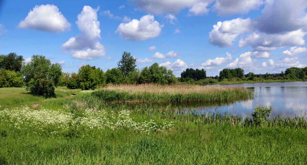 Б/Н - Николай 