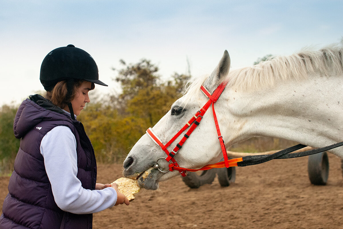 Благодарность и радость - Римма Волченко Благодарность и радость - Римма Волченко