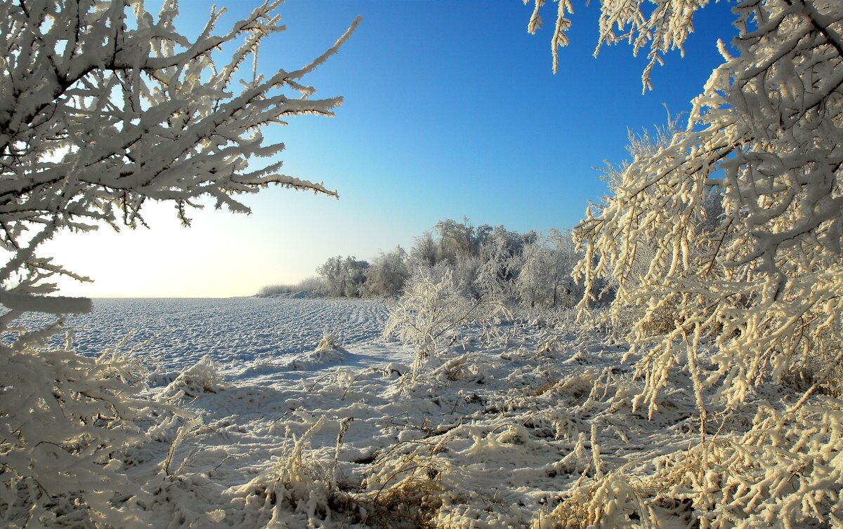 Декабрь. - Владимир Декабрь. - Владимир