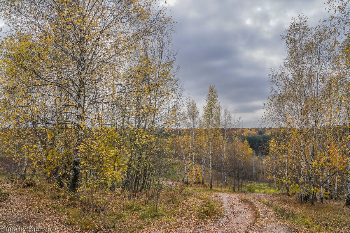 Палитра октября... - Владимир Жданов Палитра октября... - Владимир Жданов