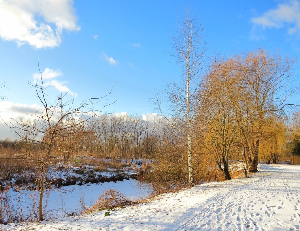 Вдоль зимнего берега - Андрей Снегерёв Вдоль зимнего берега - Андрей Снегерёв