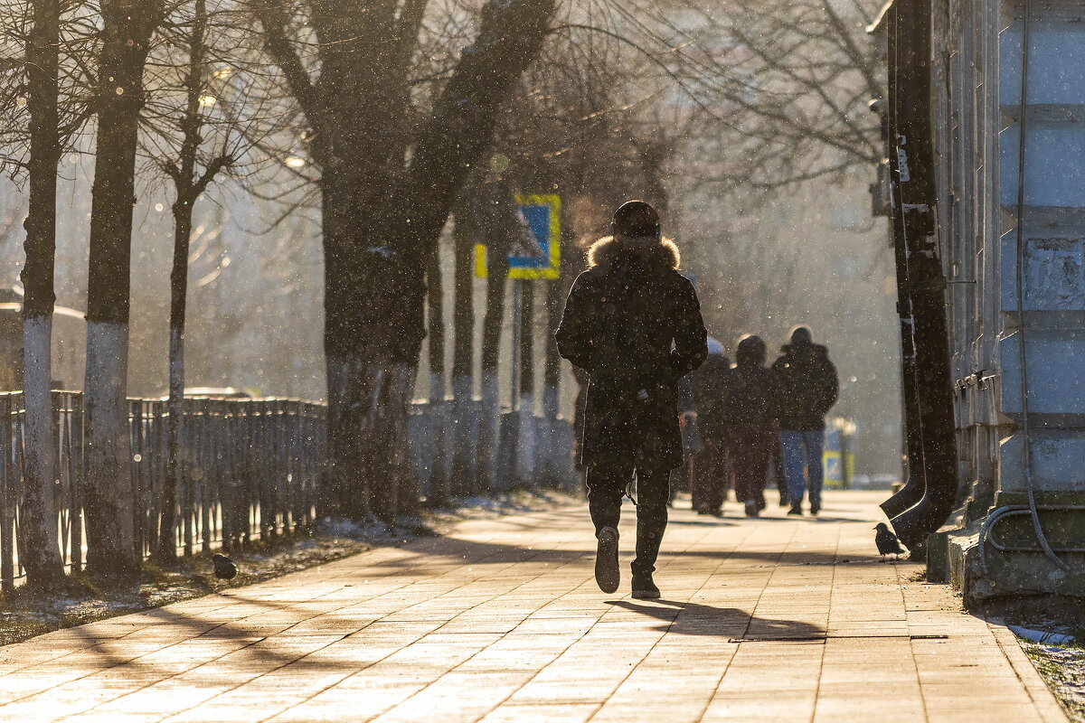 На встречу солнцу. - Анатолий. Chesnavik. На встречу солнцу. - Анатолий. Chesnavik.