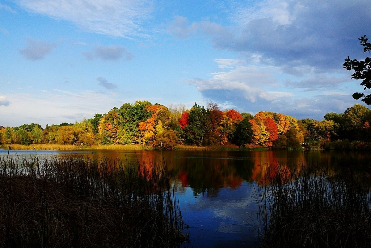 ...солнечный октябрь... - Александр Герасенков