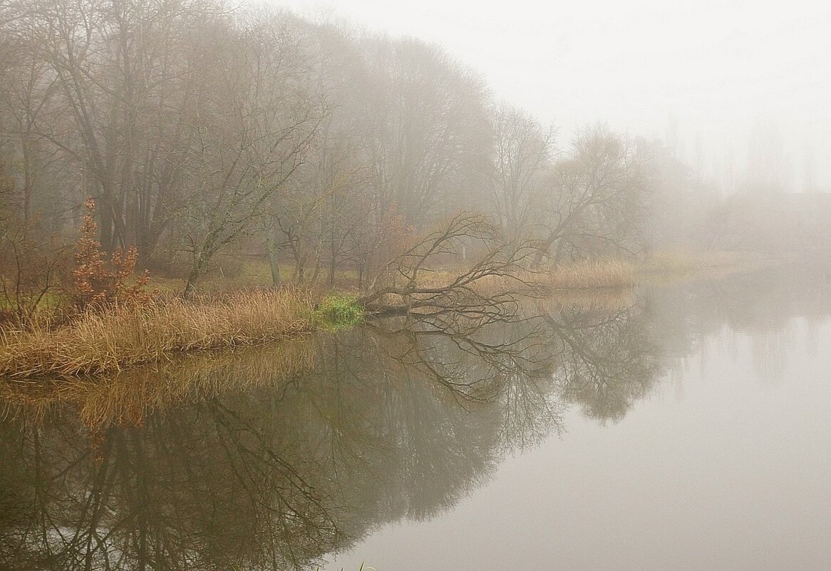 последние осенние....(туманы..) - Александр Герасенков последние осенние....(туманы..) - Александр Герасенков