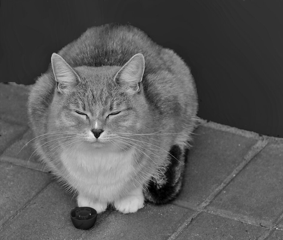 Бвю-баюшки-баю... - Светлана Бвю-баюшки-баю... - Светлана