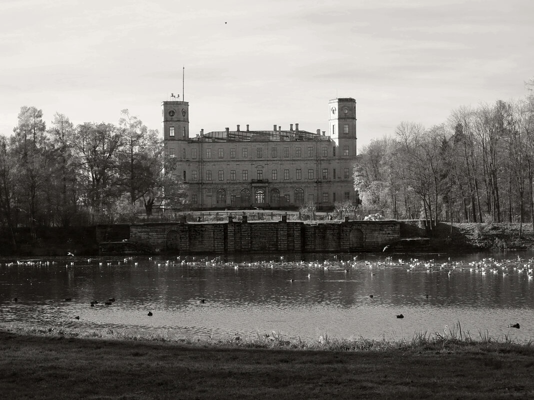Вид на Гатчинский дворец - Наталья Вид на Гатчинский дворец - Наталья