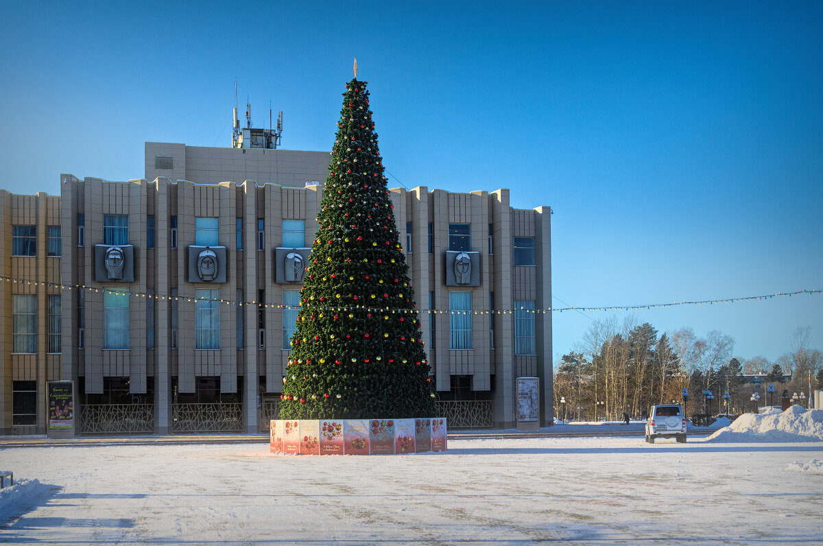 Скоро Новый год - Виктор Иванович Чернюк Скоро Новый год - Виктор Иванович Чернюк