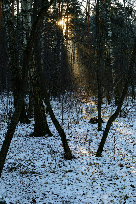 Солнца луч - Dar(k) Life