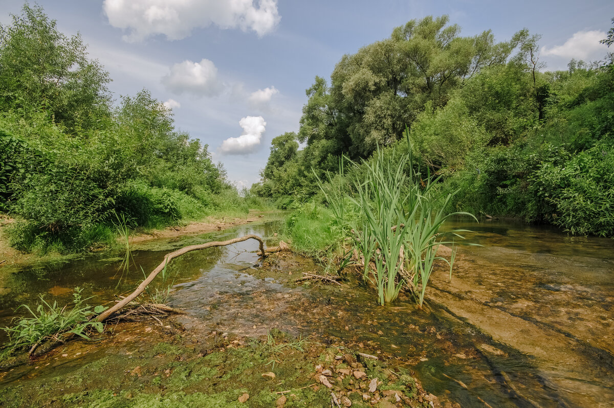 Жаркий день. - Николай 