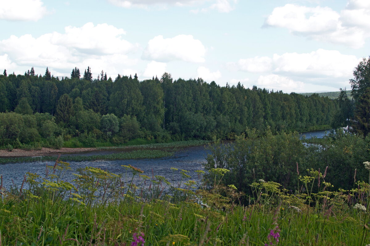 Подчерем. - ВикТор Быстров Подчерем. - ВикТор Быстров