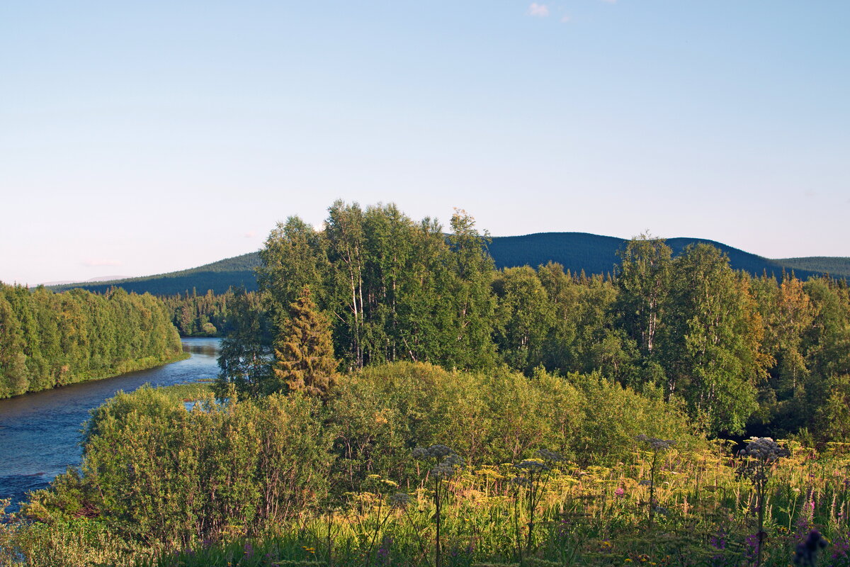 В лучах вечернего солнца. - ВикТор Быстров В лучах вечернего солнца. - ВикТор Быстров