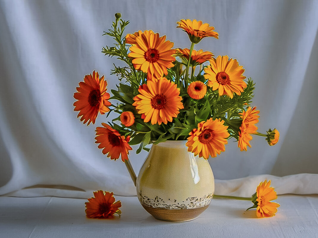 Календула - Aleksey Afonin Календула - Aleksey Afonin