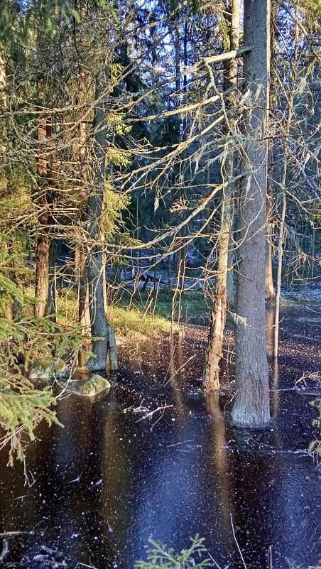 *** - Ольга Попова (popova/j2011)