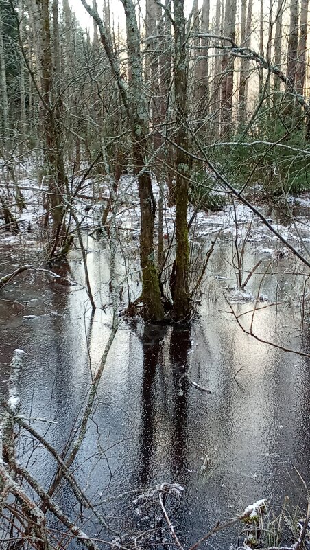 **** - Ольга Попова (popova/j2011)