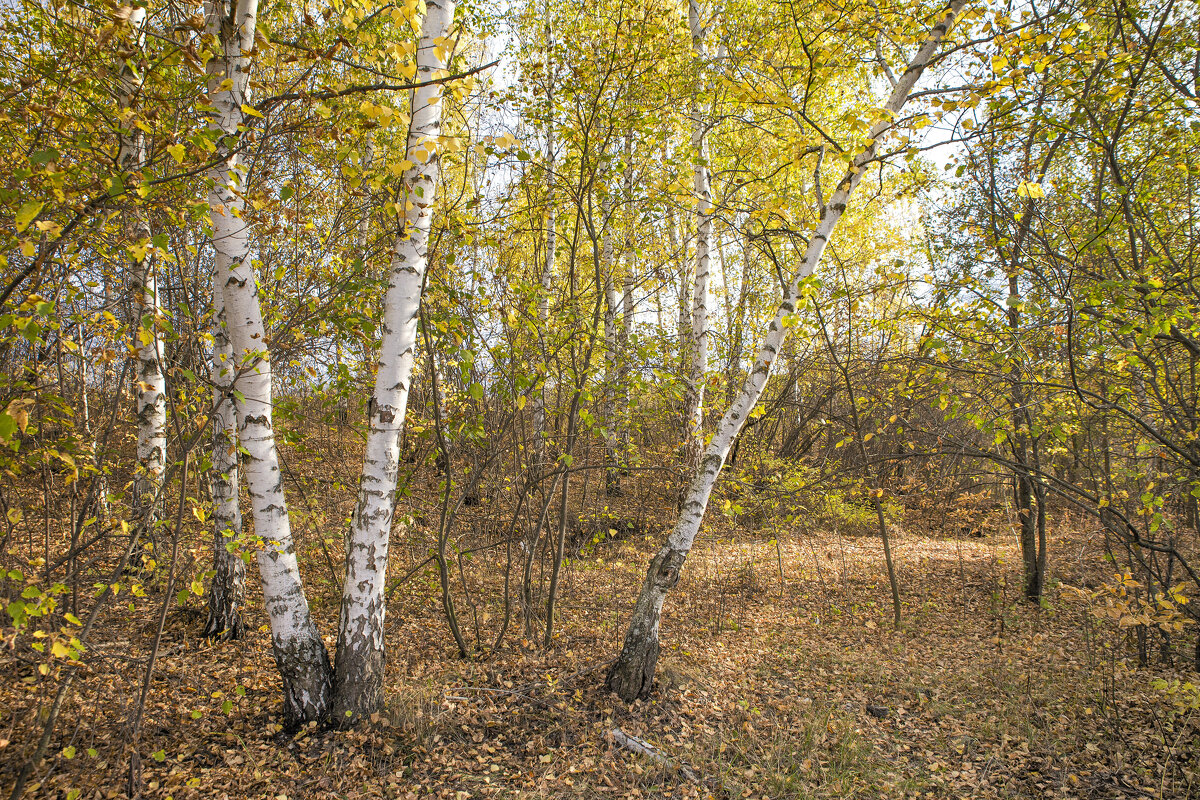 ... - Валерий ... - Валерий