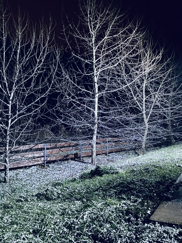 Первый снег - М С