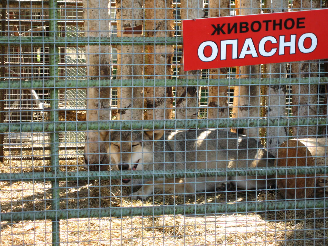 Очень опасно! - Дмитрий П