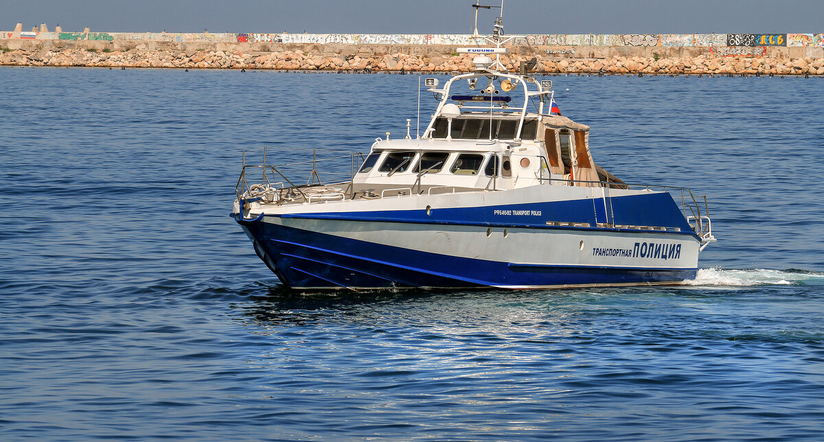 Полиция. - Сергей Воротников