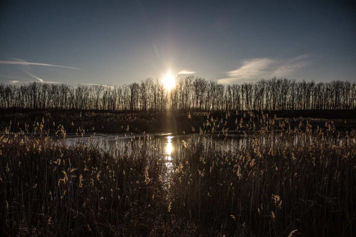 Утро. - Александр. AVG100 ---