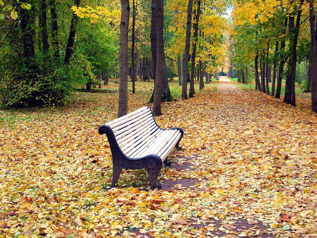 Осень золотая. - Лия ☼ Осень золотая. - Лия ☼