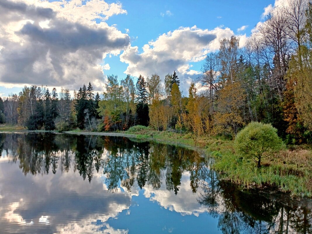 Низкий бнрег реки Оредеж. - Лия ☼ Низкий бнрег реки Оредеж. - Лия ☼