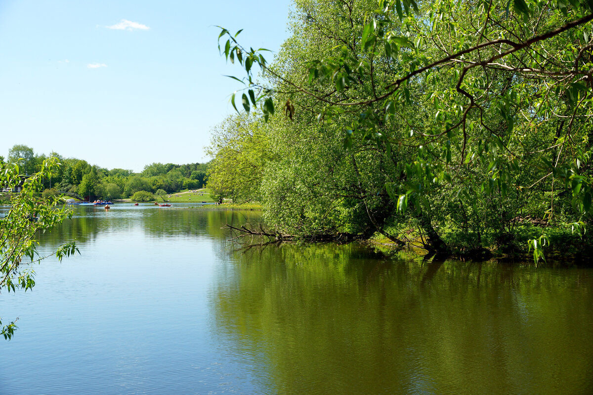 Шибаевский пруд - Игорь Белоногов Шибаевский пруд - Игорь Белоногов