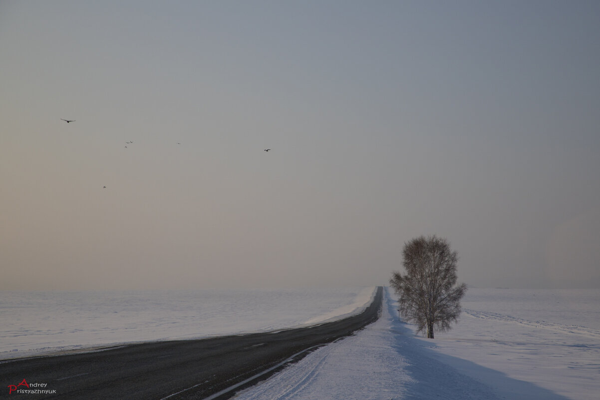 Вдаль... - Андрей Пристяжнюк Вдаль... - Андрей Пристяжнюк