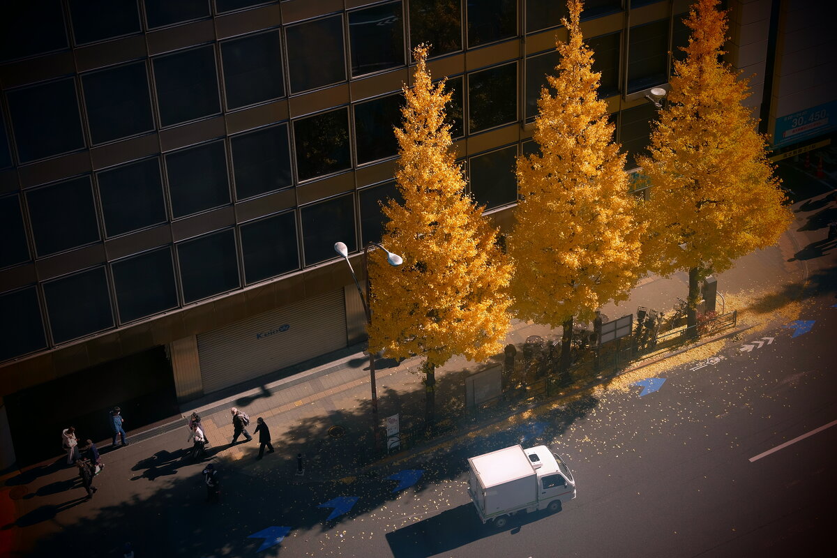 Зимний день Токио - Civetta ***