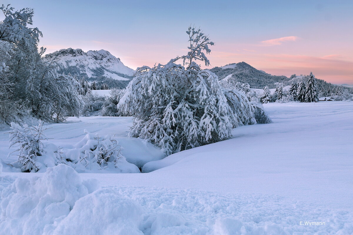 winter view - Elena Wymann