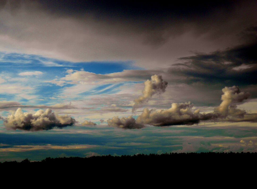 сборище небесное - Владимир 