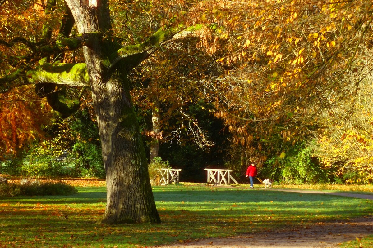 Осенние прогулки - Юрий. Шмаков