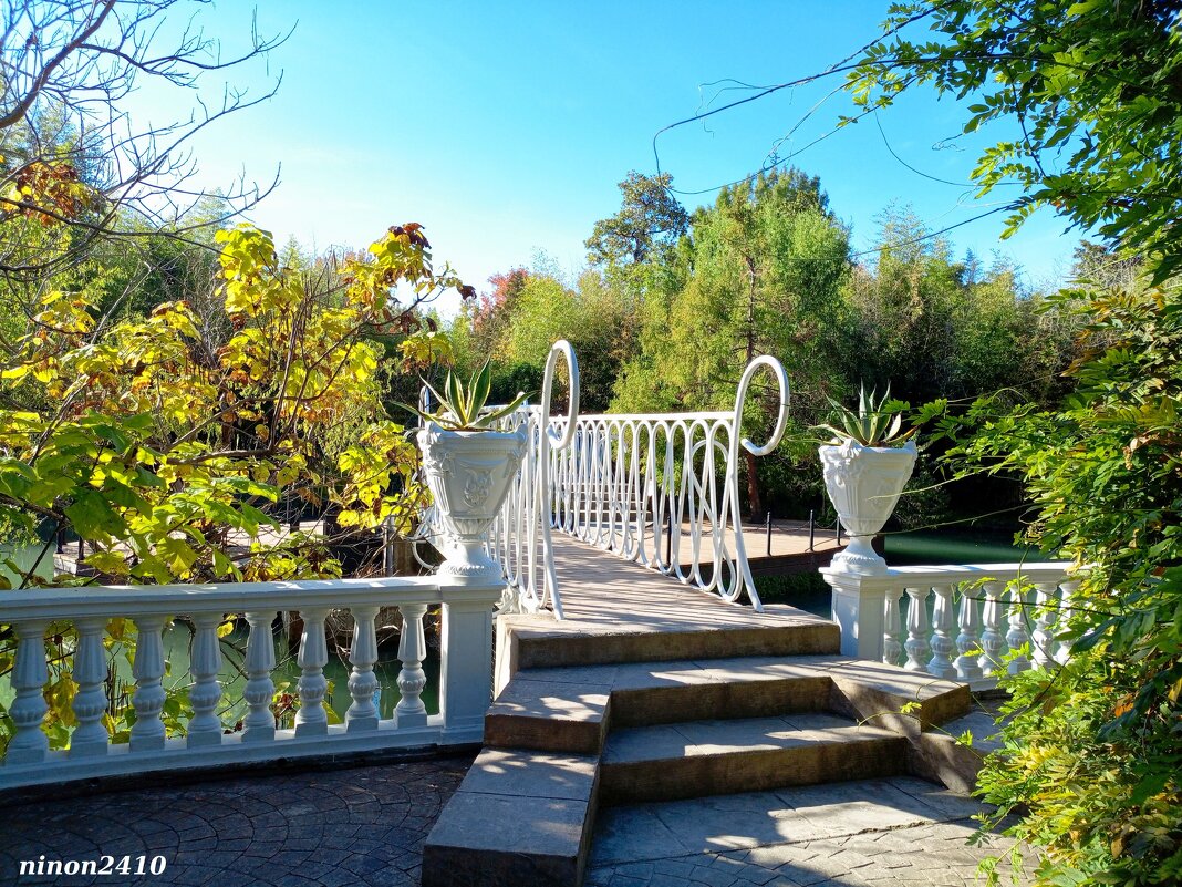 Адлер. Дендропарк "Южные культуры" - Нина Бутко Адлер. Дендропарк "Южные культуры" - Нина Бутко