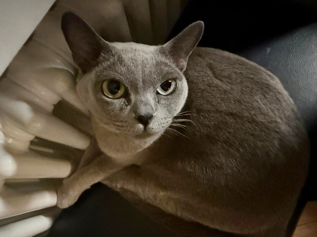 зима, однако... - Сергей Б.