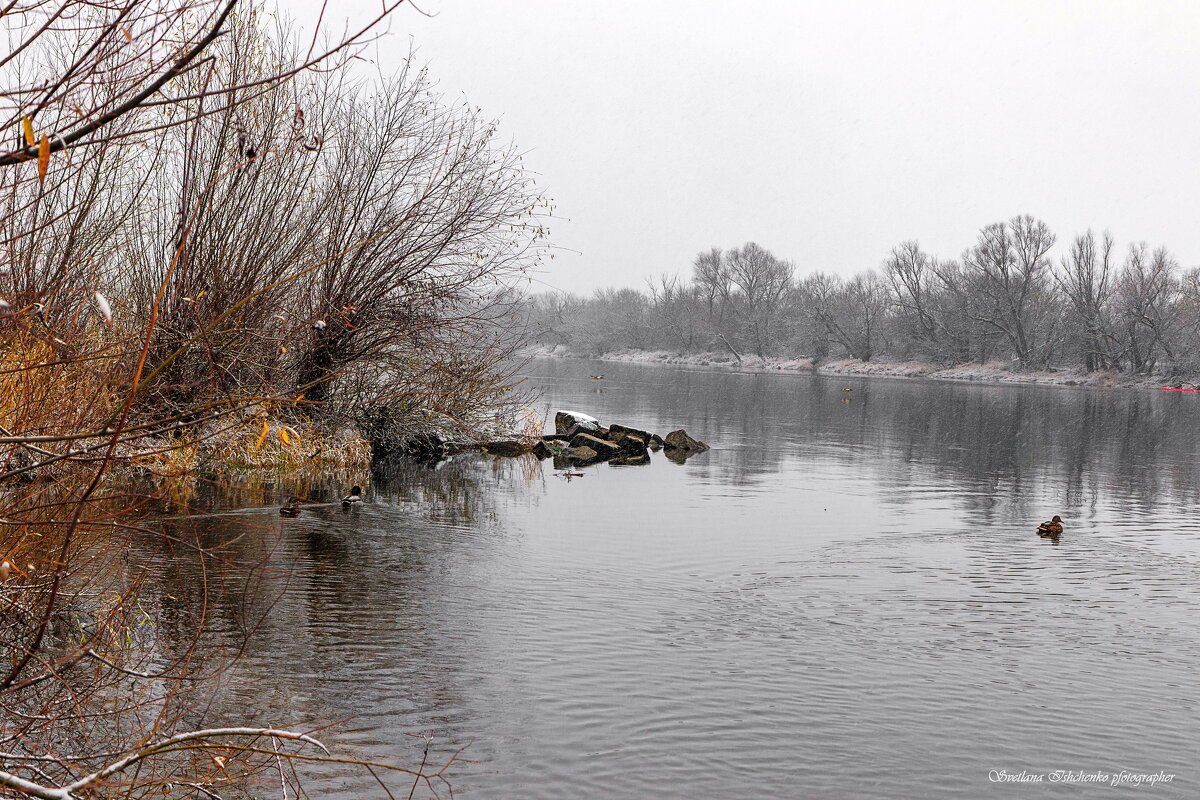 Новы Двур Мазовецки р. Нарев - Светлана Ищенко