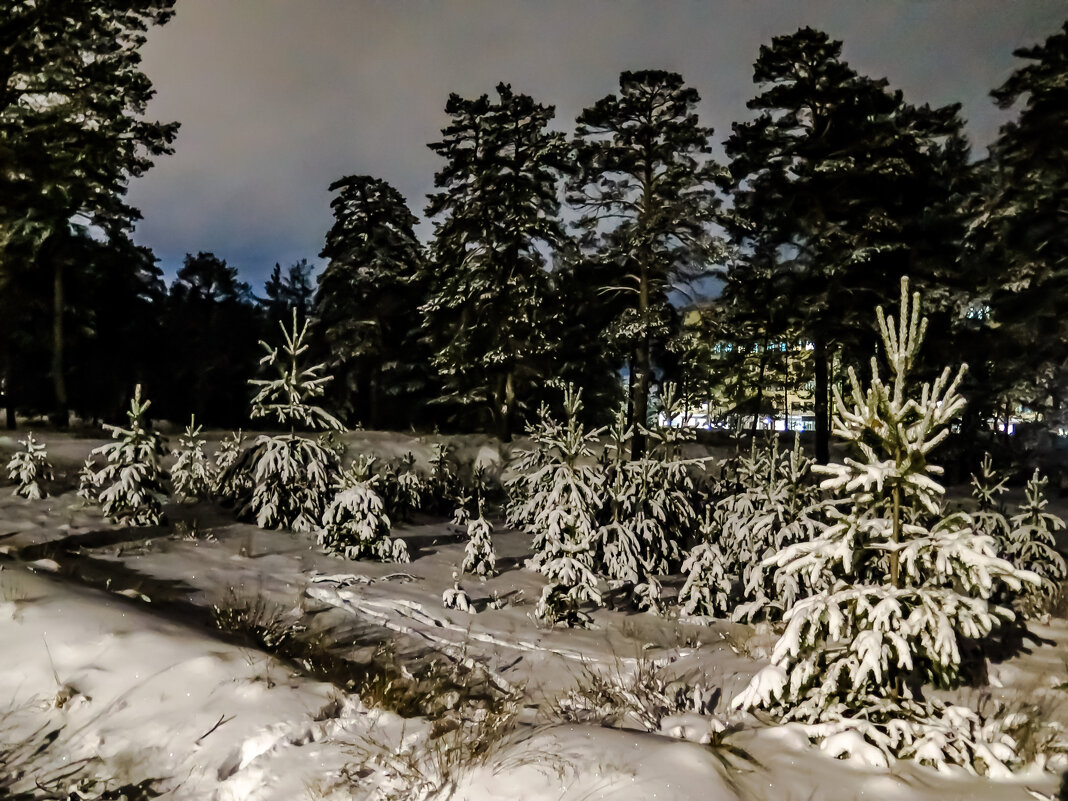 МОЙ ДЕКАБРЬ - HART BAD